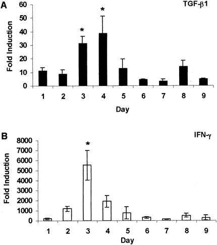 FIG. 3.