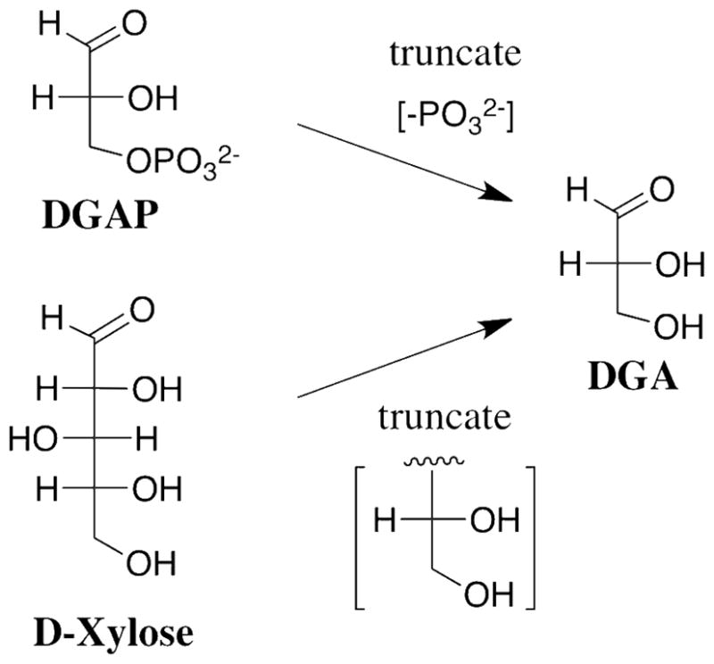 Scheme 2