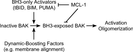 FIGURE 9.