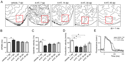 Fig. 7.