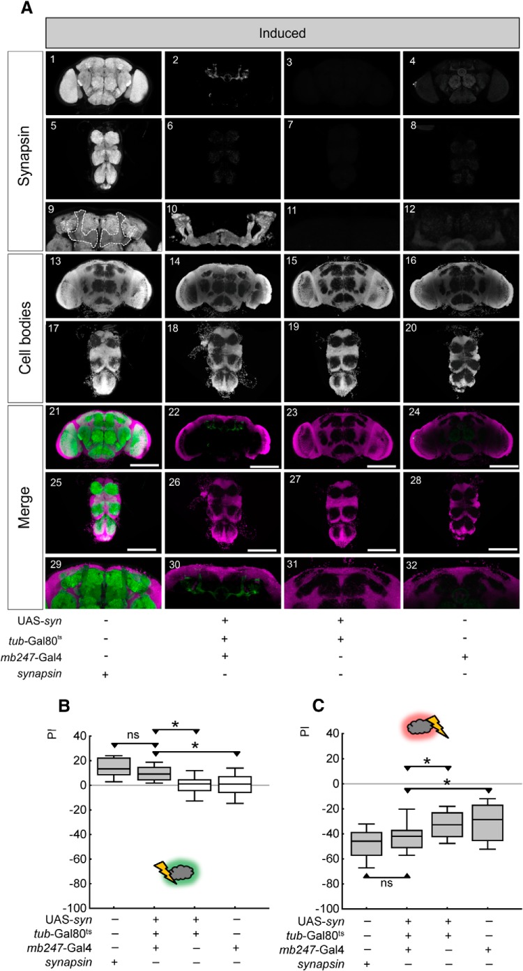 Figure 10.