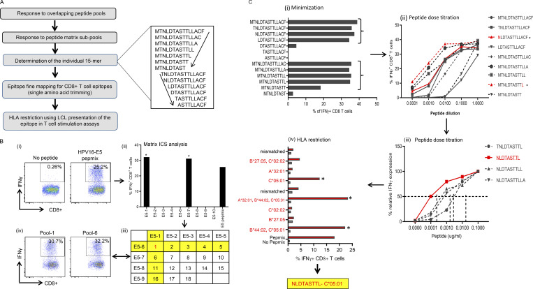 Figure S1.