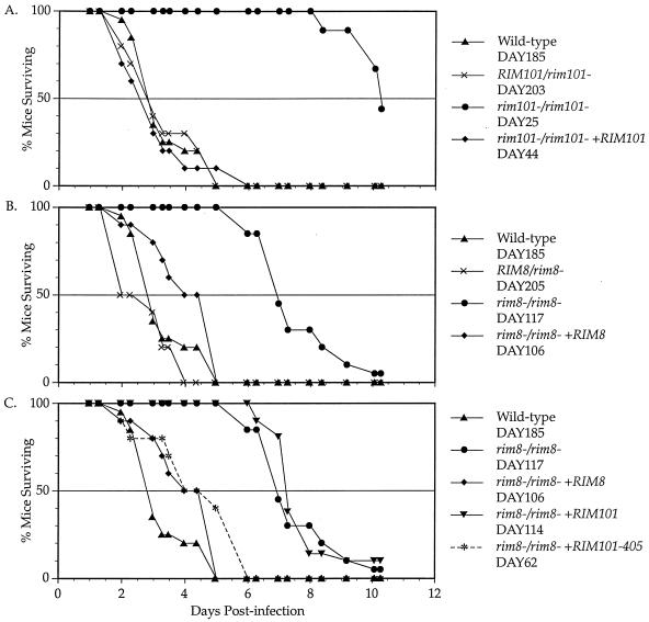 FIG. 1