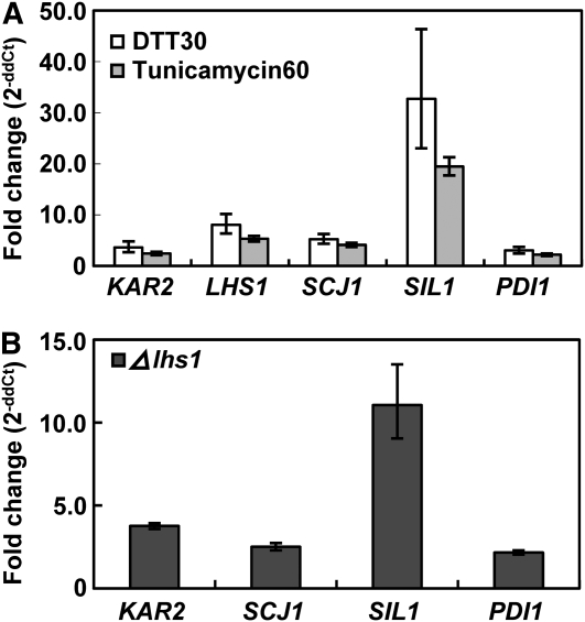 Figure 5.