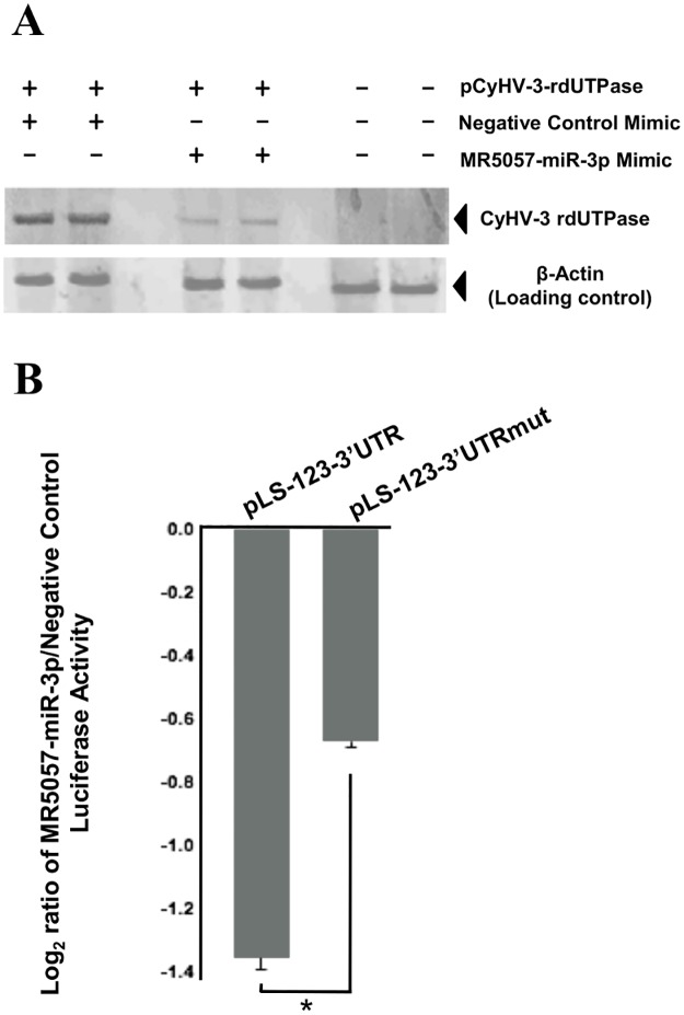 Fig 12