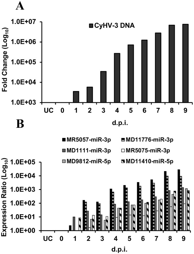 Fig 6