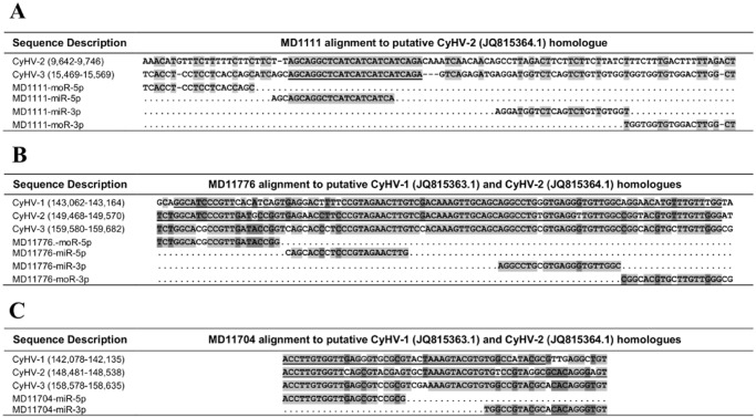 Fig 10