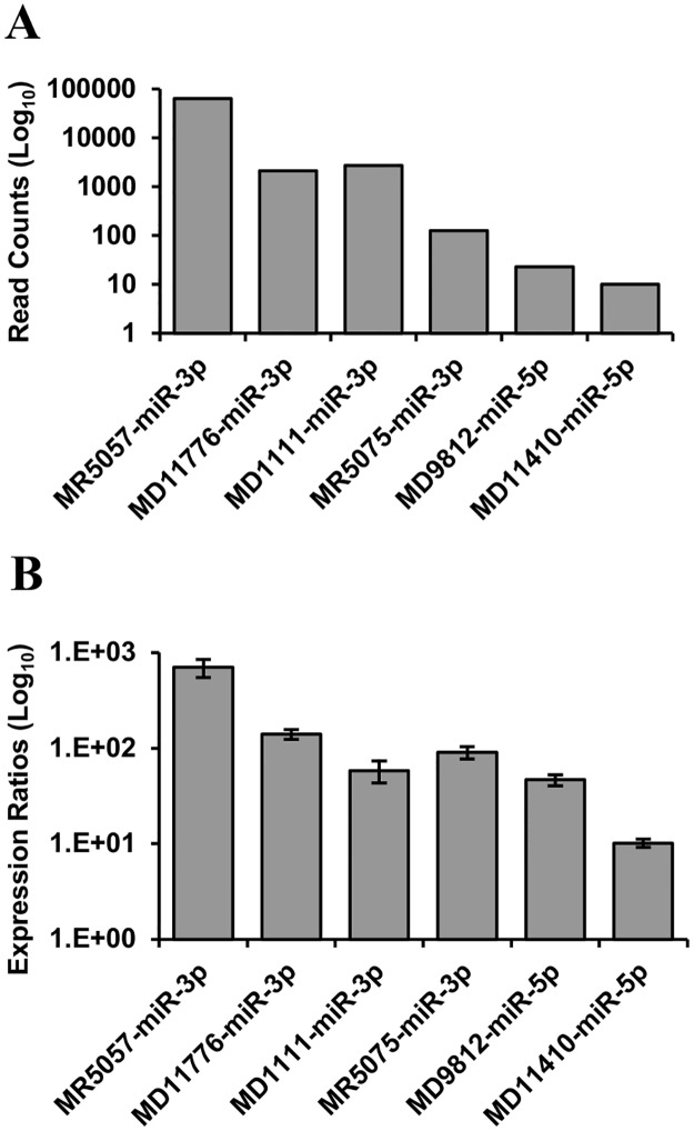 Fig 5