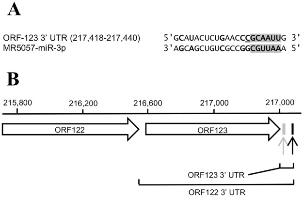 Fig 11