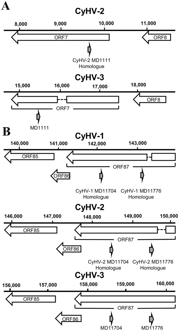 Fig 9