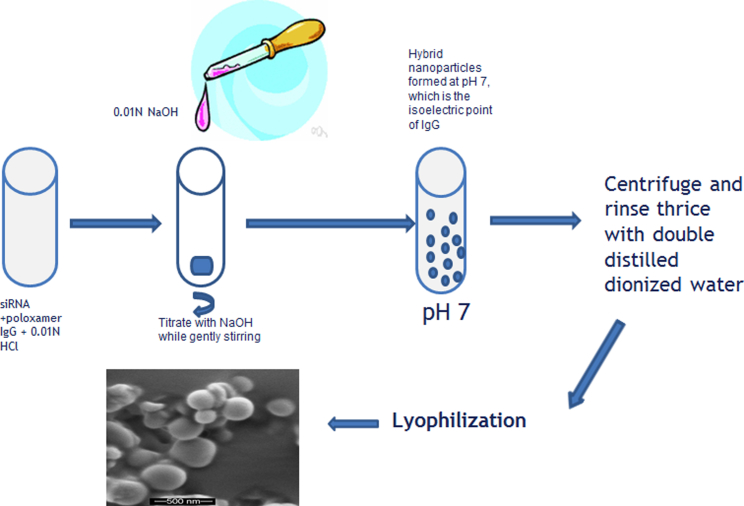 Figure 1