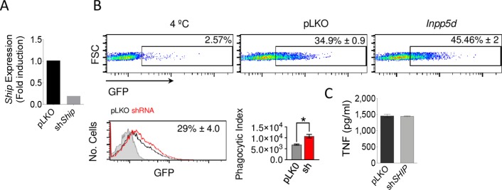 Fig 7