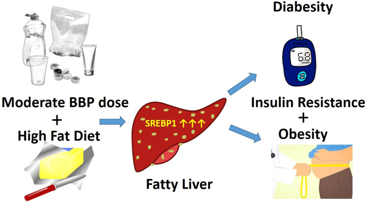 Graphical Abstract