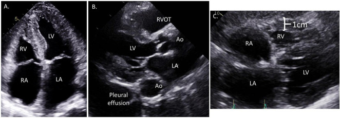 FIGURE 3