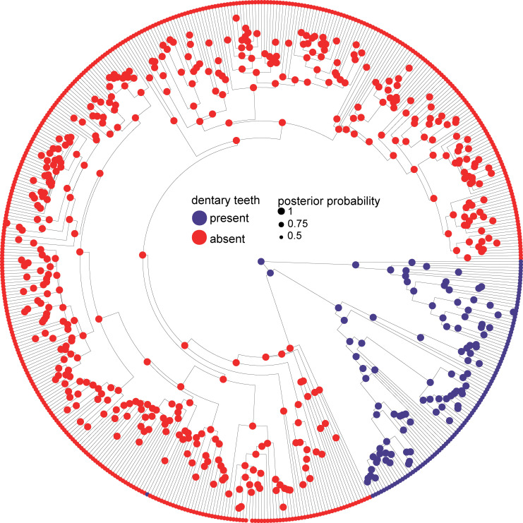 Figure 2—figure supplement 3.