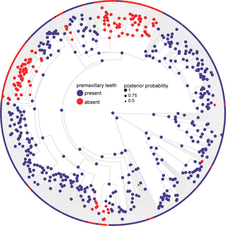 Figure 2—figure supplement 4.