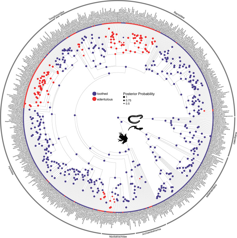 Figure 2—figure supplement 2.