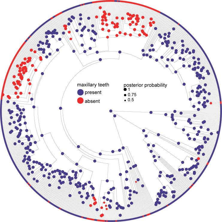 Figure 2—figure supplement 5.