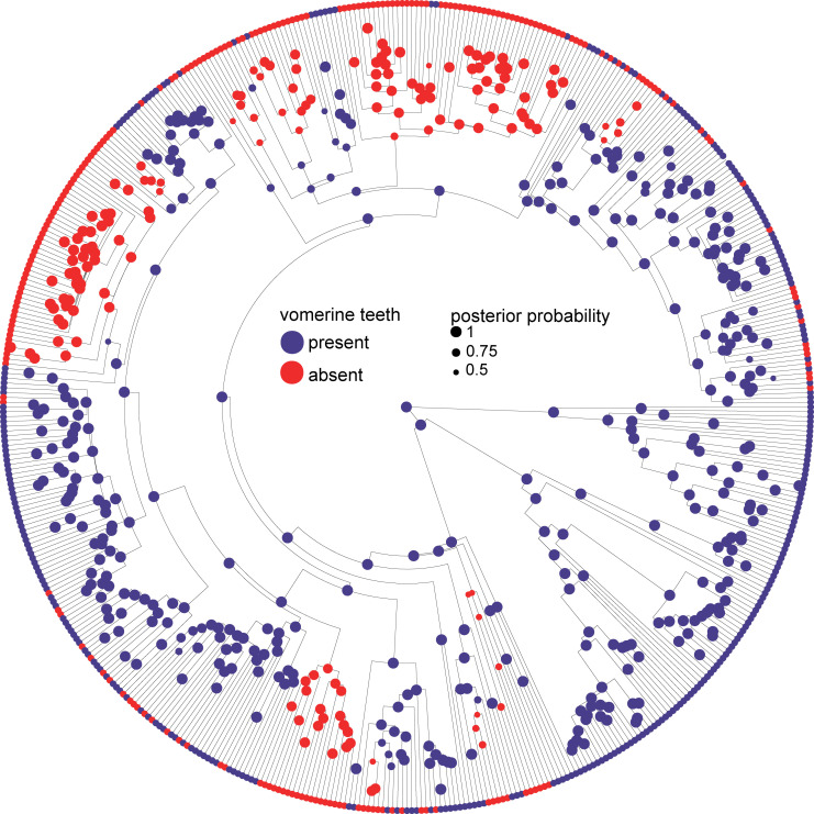Figure 2—figure supplement 6.