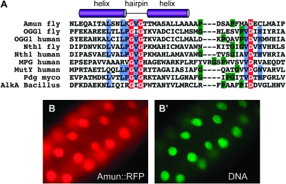 Figure 4.—