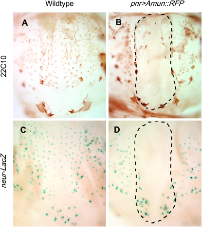 Figure 7.—