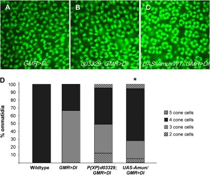 Figure 3.—