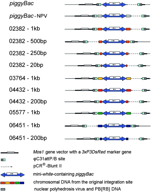 Figure 3.—