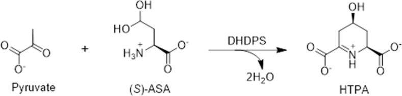 Fig. 2