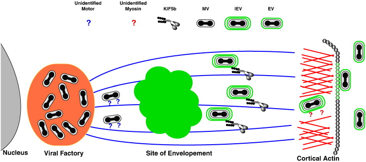 Fig. 2