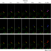 <b>Figure 6</b>