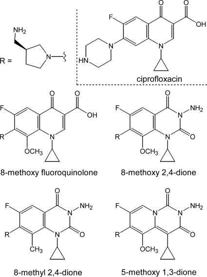 FIG. 1.