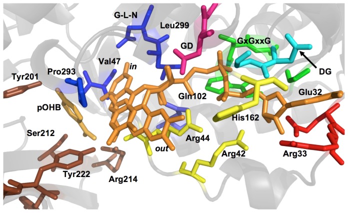 Figure 4