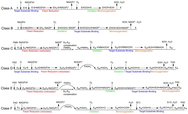 Scheme 2