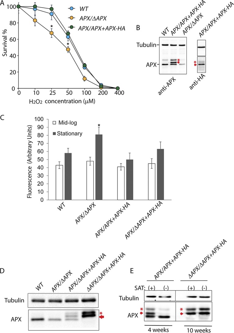 FIG 2