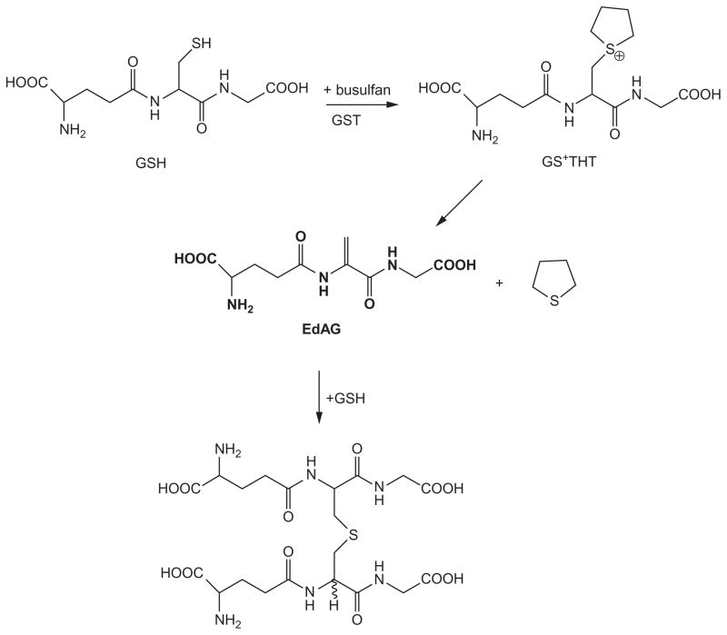 Figure 5.4