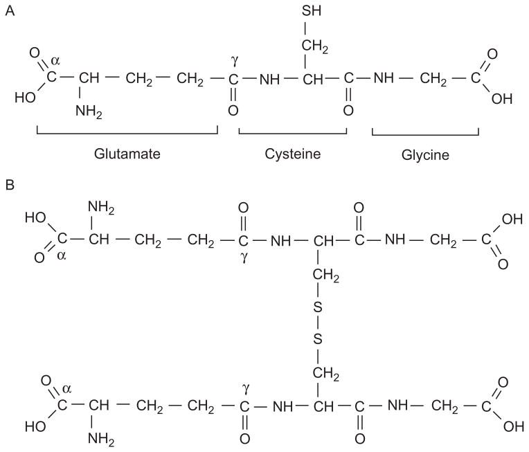 Figure 5.1