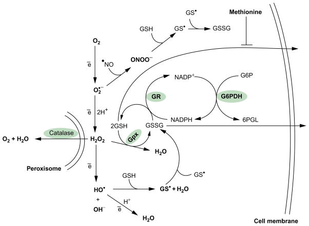 Figure 5.2