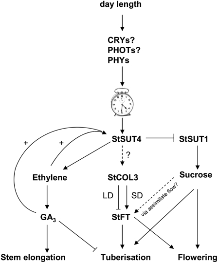 Figure 10.