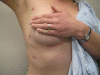 Figure 2)