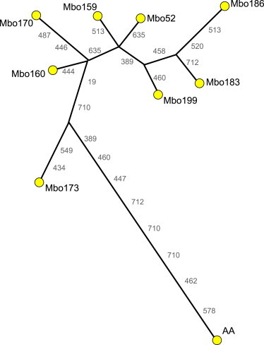 Figure 3