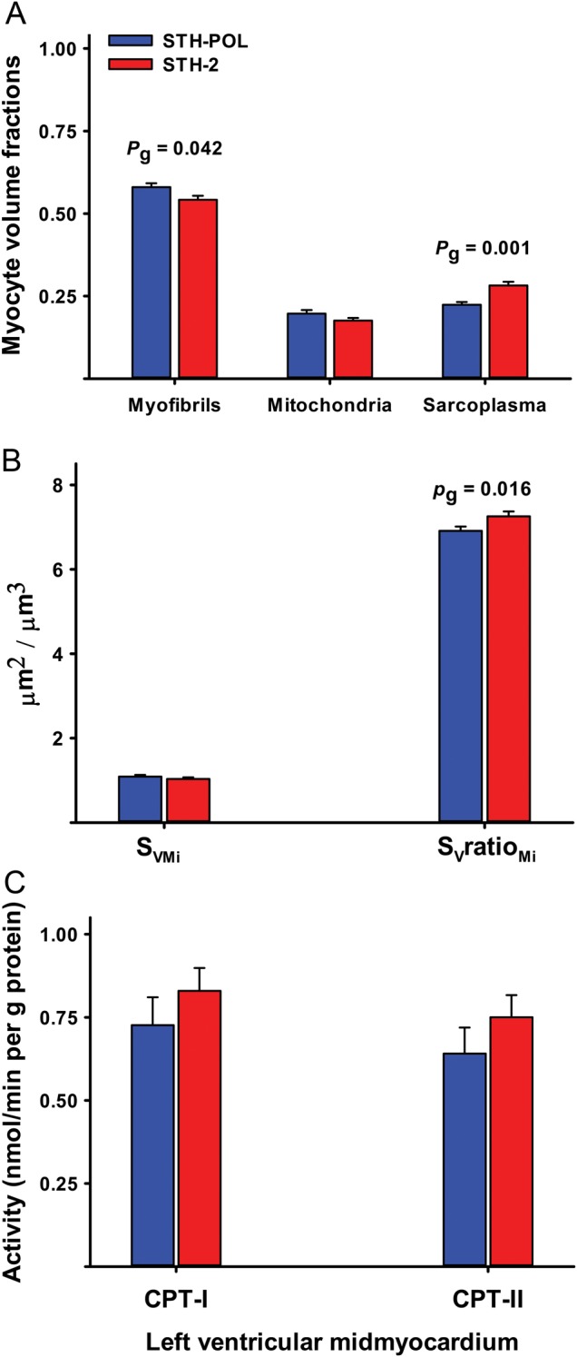 Figure 5: