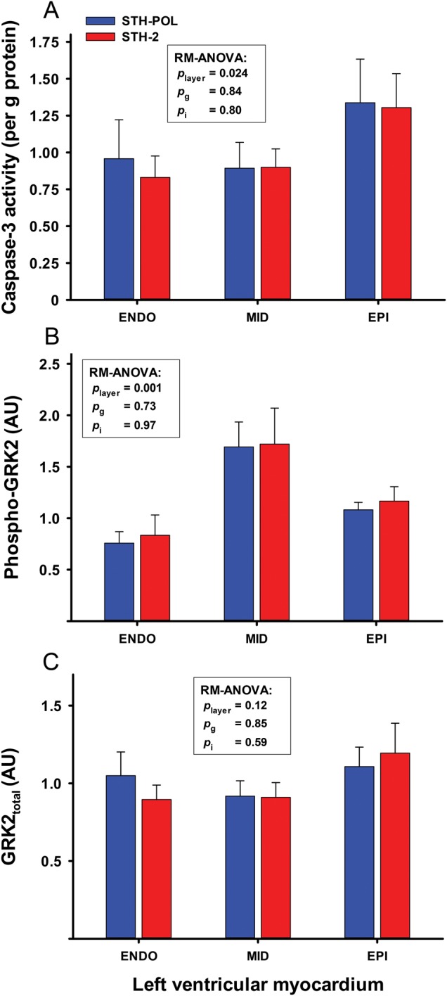 Figure 4: