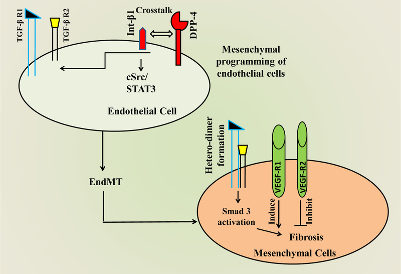 Figure 2: