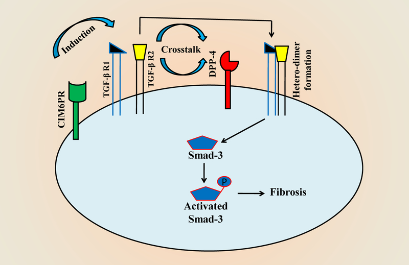 Figure 3: