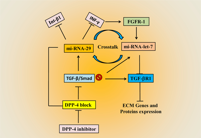 Figure 4: