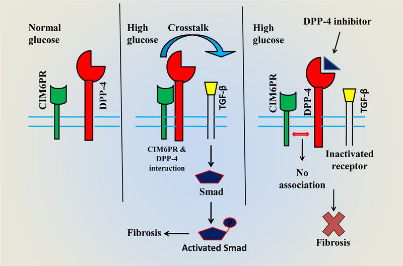 Figure 1: