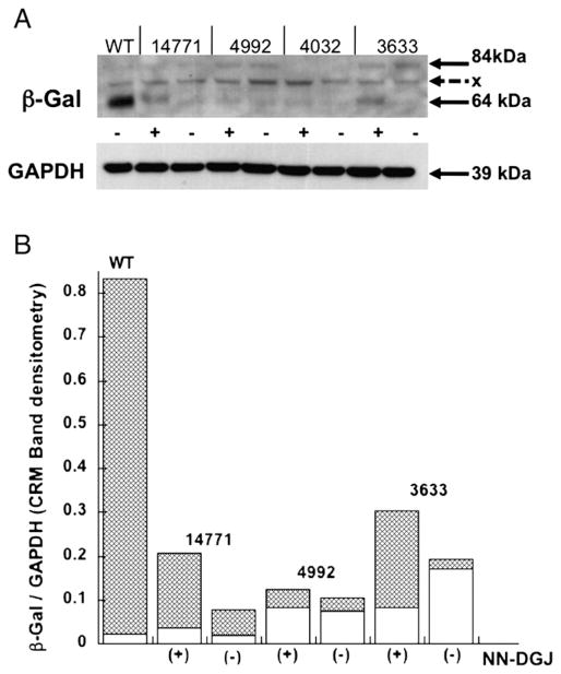 Fig. 5