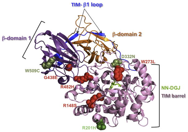 Fig. 4