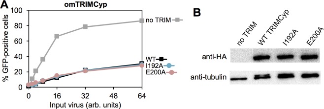 Fig 10