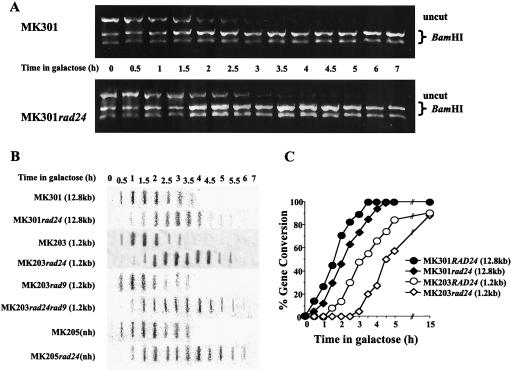 FIG. 6.